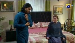 Tauba - Episode 74 - 29th December 2024